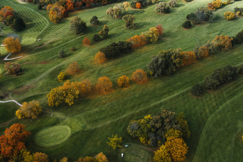 Could This Brain Nutrient Be the Secret to a Better Golf Game?